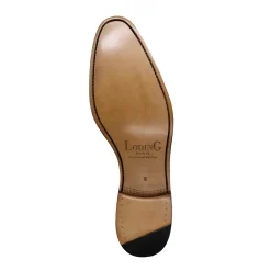 Outlet LodinG Derby à boucle New Taylor 502 Marron